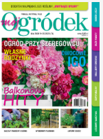 majowy „Mój Ogródek”