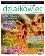 lutowy numer „działkowca”