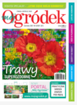 Czerwcowy numer „Mojego Ogródka”