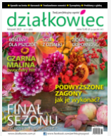 listopadowy numer „działkowca” listopadowy numer „działkowca”